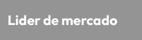 Gerente Recursos Humanos